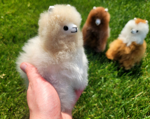 Mini Alpaca Llama