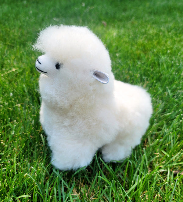 Stuffed Alpaca Lamb