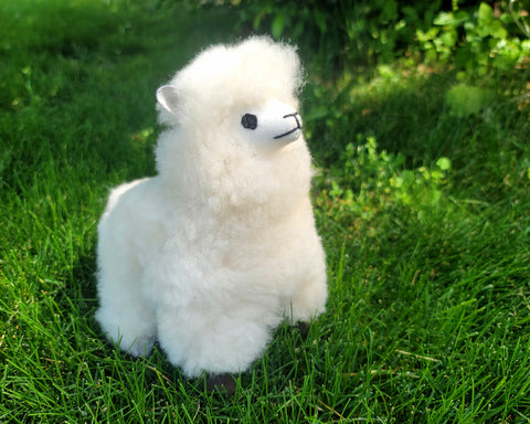 Stuffed Alpaca Lamb