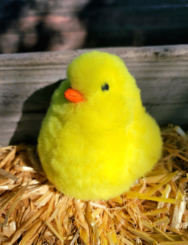 Stuffed Alpaca Chick