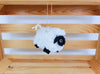 Little Bow Sheep