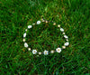 White Daisy Choker