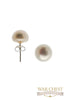 Pearl Large Earrings White