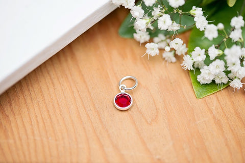 January Birthstone Charm