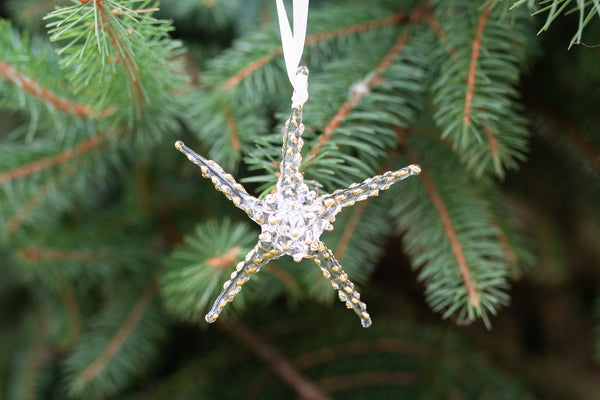 Starfish Ornament Clear