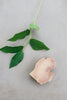 Michigan Vanilla Sugar Soap -  Spa - WAR Chest Boutique