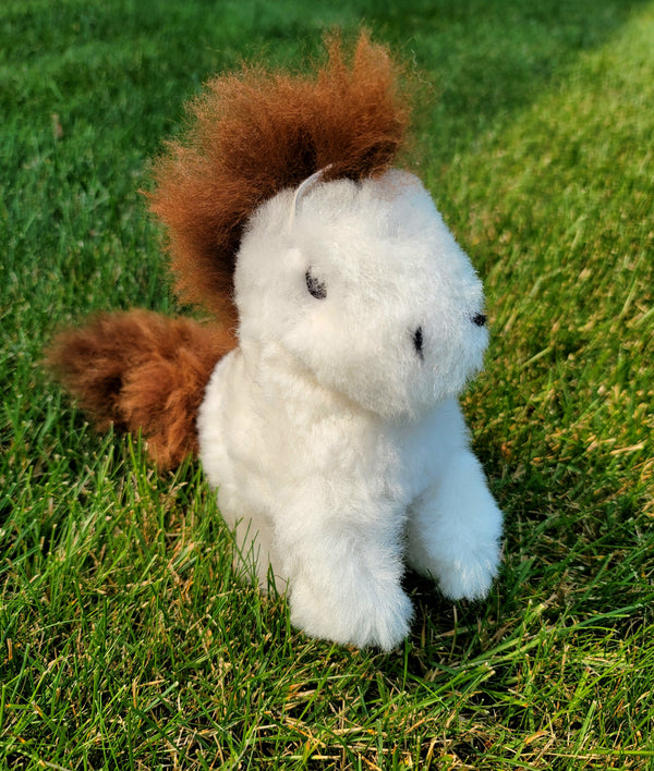 Small Alpaca Pony