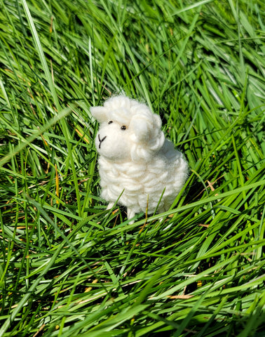 Small Felt Sheep