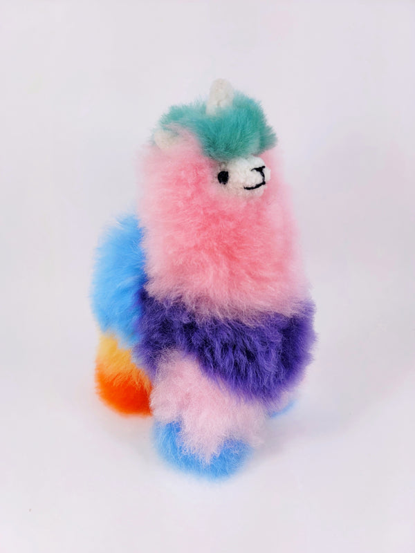 Rainbow mix