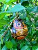 Owl Gourd Ornament - Various