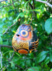 Owl Gourd Ornament - Various
