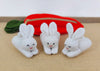 Carrot with 3 Rabbits