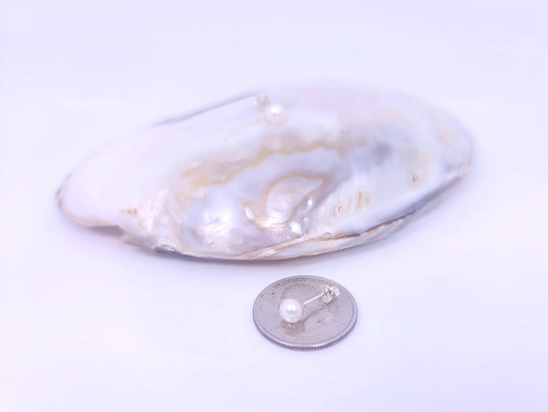 Tiny Pearl Earrings White