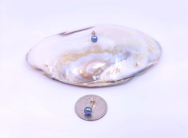 Tiny Pearl Earrings Black