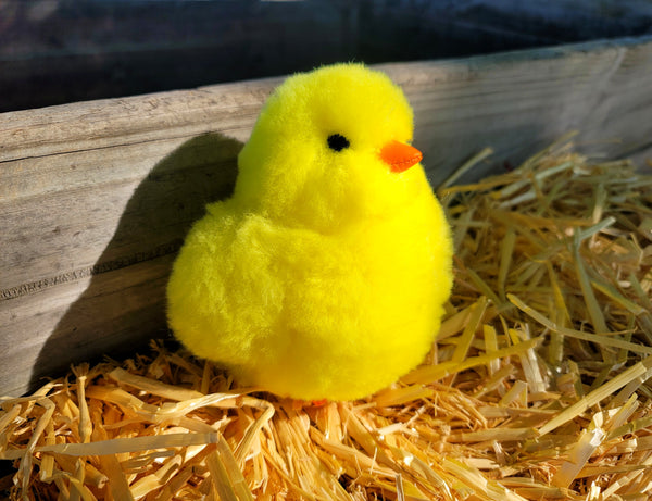 Stuffed Alpaca Chick