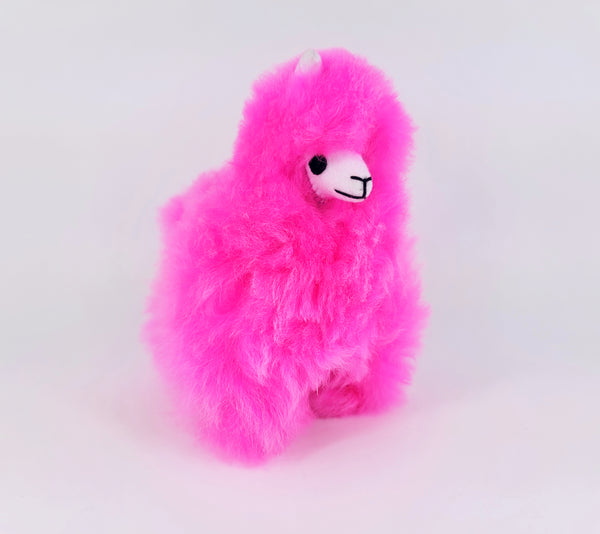 Rainbow Connection Mini Alpaca