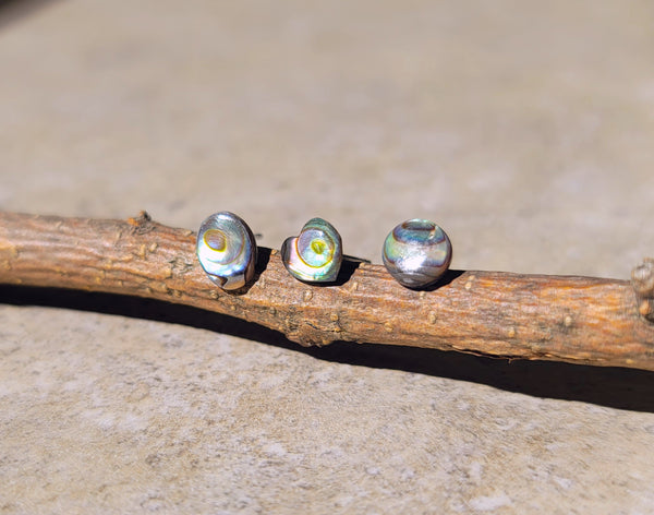 Abalone Post Earrings