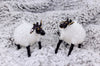 Fluffy Sheep Ornament