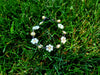 White Daisy Bracelet