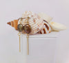 Bronzed Pearl Earrings