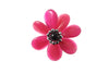 Flower Brooch Pink & Black