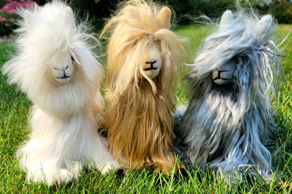 (L to R) White, Blonde, and Gray